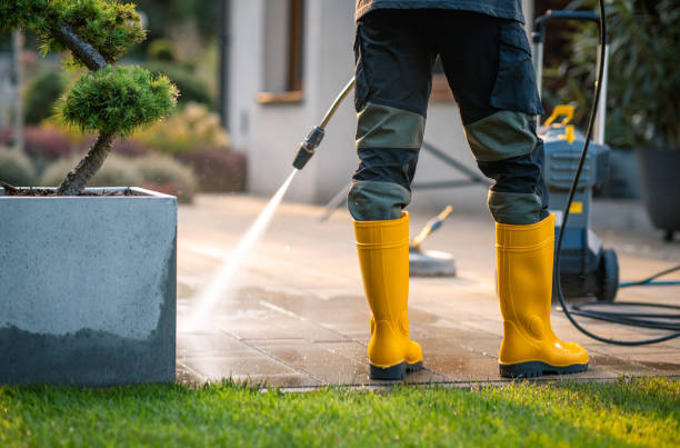 Best Power Washing Near Me  in Hollis, OK